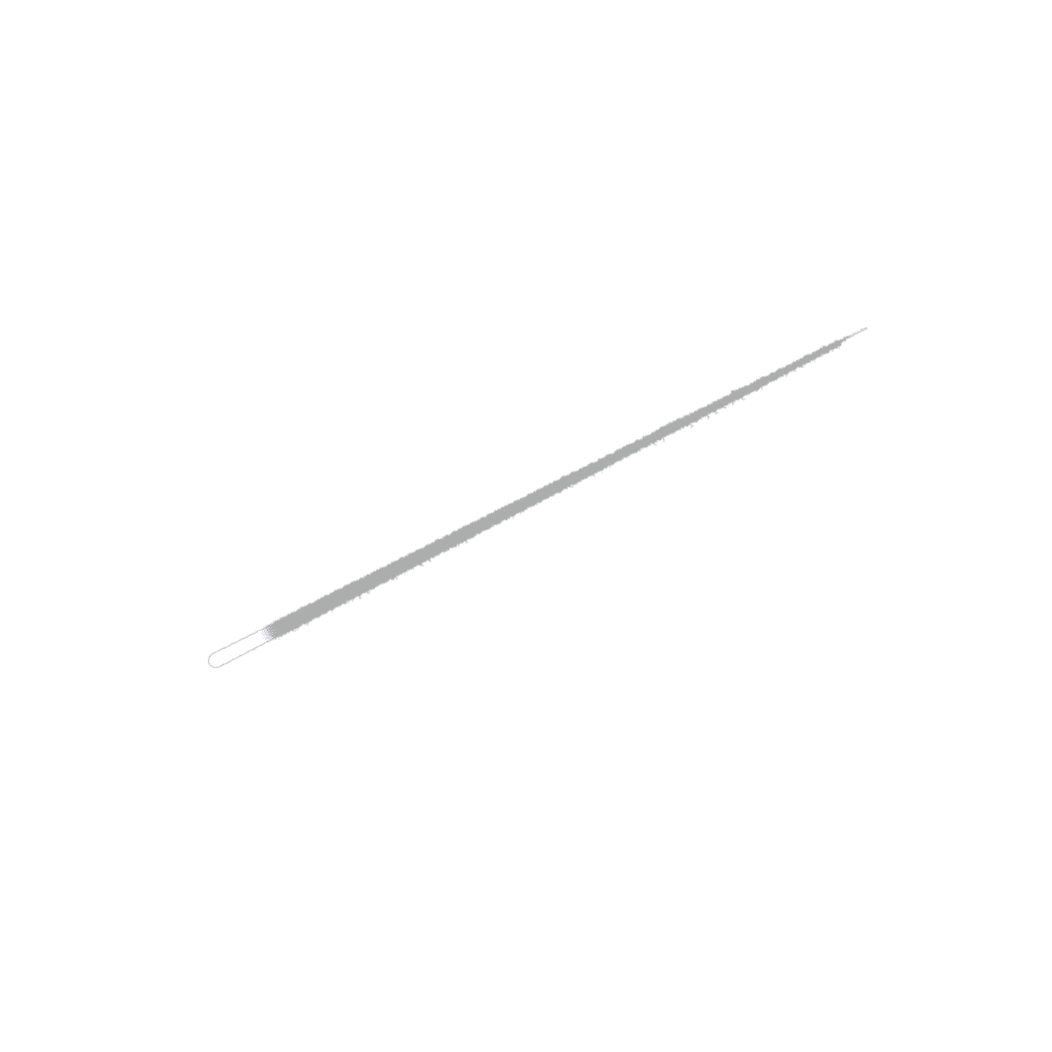 meteorite